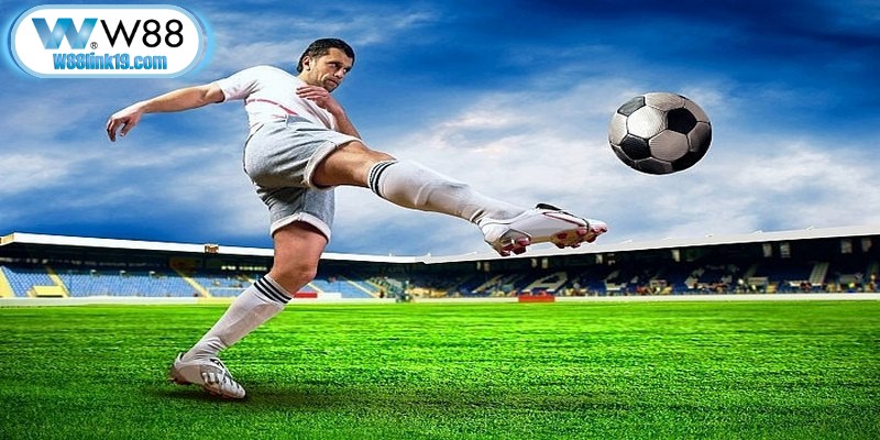 Hiện nay không có phần mềm nào cam kết cá cược chính xác 100%